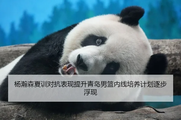 杨瀚森夏训对抗表现提升青岛男篮内线培养计划逐步浮现