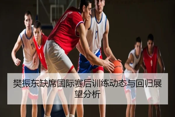 樊振东缺席国际赛后训练动态与回归展望分析
